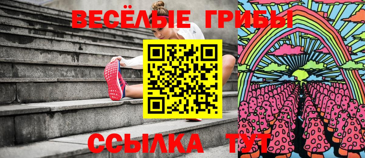 Саров  цена наркотик  Вход с VPN  Псилоцибиновые грибы GOLDEN TEACHER 