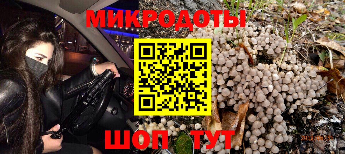 Псилоцибиновые грибы прущие грибы Саров